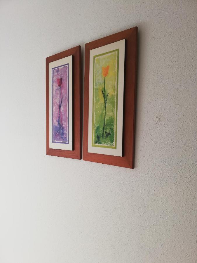 Naturista En Primera Linea En Natura World! *